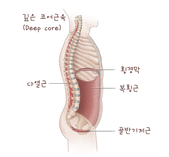 코어근육2